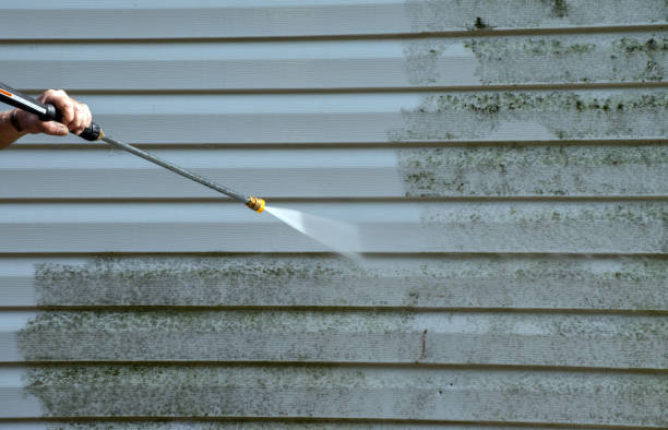 Best Patio and Deck Pressure Washing  in Melrose Park, NY